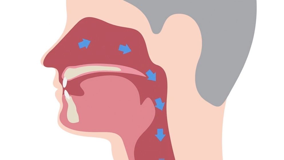 The Science Behind Nasal Breathing and Health